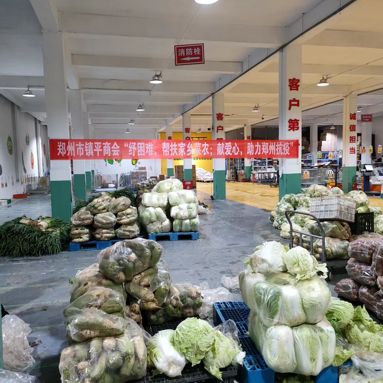 “助农+捐赠” —— 郑州市镇平商会暖心行动显担当!(图1) 2022.11.21爱心蔬菜捐赠活动mmexport1669094290748.jpg