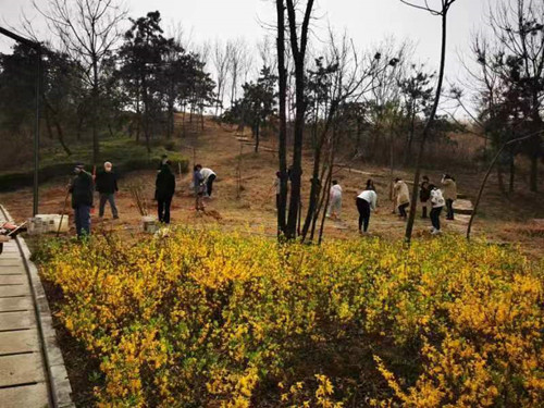 郑州东阳商会参与植树活动(图2) 微信图片_202303131526331_副本.jpg