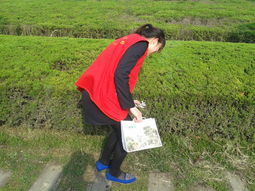 管城回族区特味村开展“郑州因我而美丽”公益活动(图3) 管城回族区特味村开展“郑州因我而美丽”公益活动(图3)