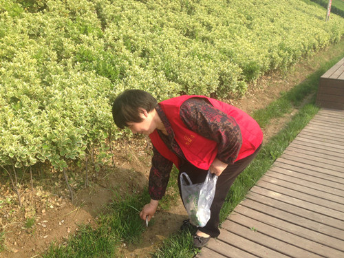 管城回族区特味村开展“郑州因我而美丽”公益活动(图1) 管城回族区特味村开展“郑州因我而美丽”公益活动(图1)