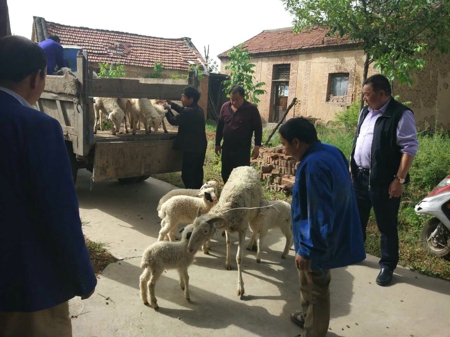 新密市工商联商会齐聚力做好精准扶贫(图2) 新密市工商联商会齐聚力做好精准扶贫(图2)