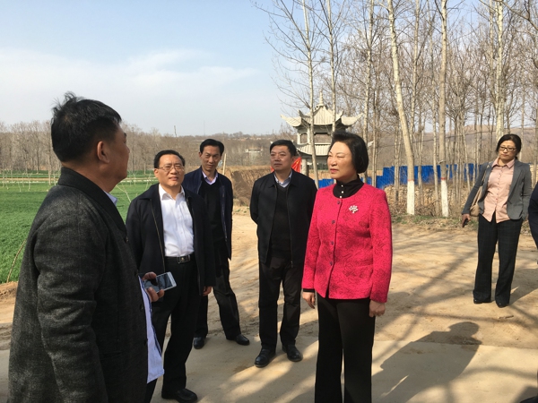 省工商联领导到郑州市调研乡村振兴战略实施、村企共建工作(图1) 省工商联领导到郑州市调研乡村振兴战略实施、村企共建工作(图1)