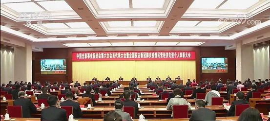 薛景霞主席参加中国光彩事业促进会第六次会员代表大会暨全国抗击新冠肺炎疫情民营经济先进个人表彰大会(图1) 薛景霞主席参加中国光彩事业促进会第六次会员代表大会暨全国抗击新冠肺炎疫情民营经济先进个人表彰大会(图1)