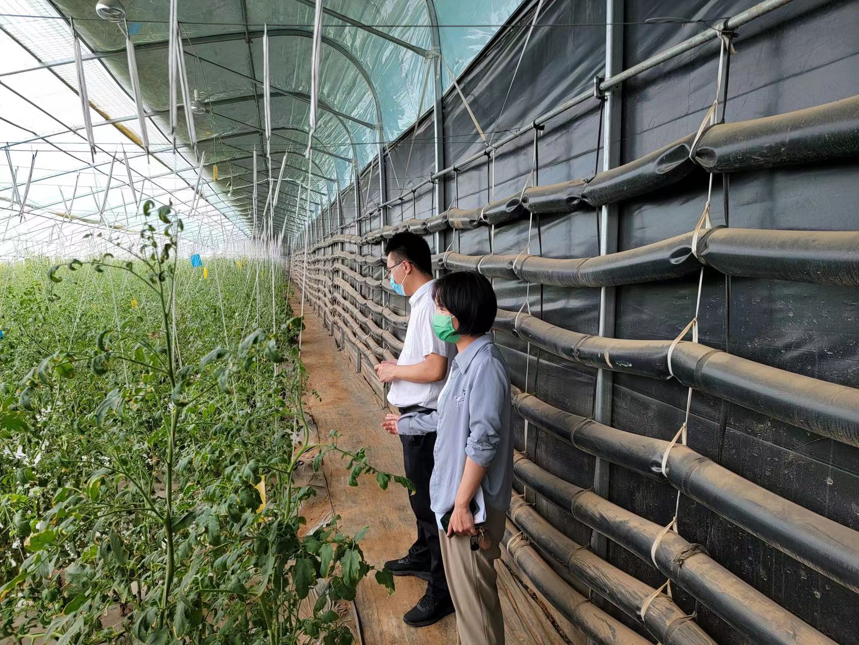 新郑市工商联就“万企兴万村”工作走访调研企业(图1) 微信图片_202207131704102.jpg