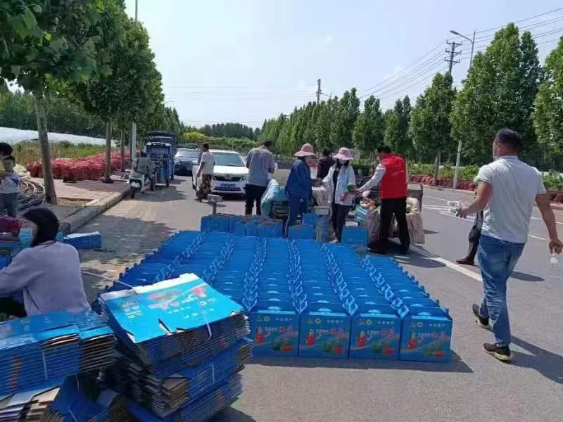 携手爱心企业帮助农户解决西瓜滞销难题(图1) e776dfeb82846ae7e5b6223fd3c39da.jpg