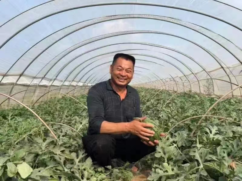 携手爱心企业帮助农户解决西瓜滞销难题(图4) 9ee5d0c8ef72a23734a375d6cefc885.jpg