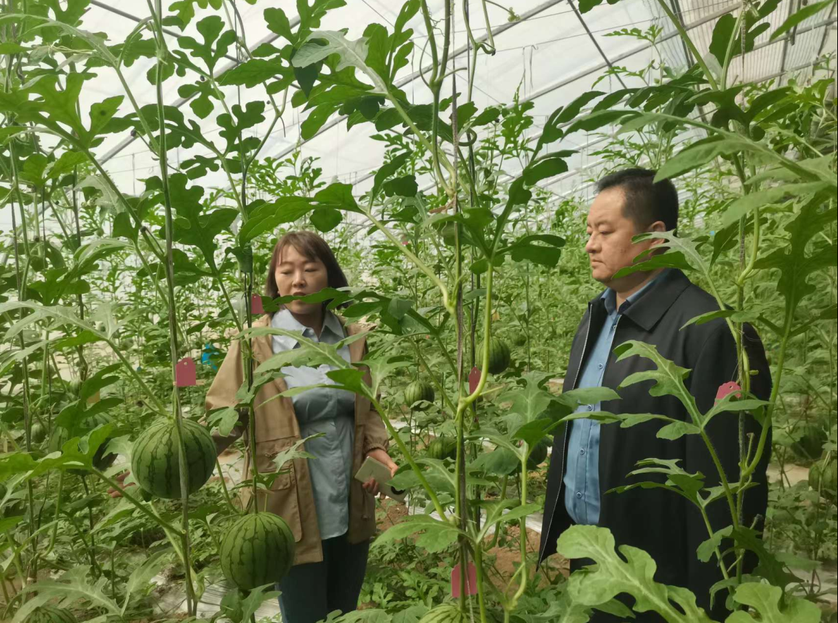 陈勇到中牟县开展“万企兴万村”行动专题调研活动(图2) 4.png