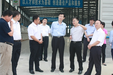 市委常委、统战部长王跃华赴新密调研(图1) 市委常委、统战部长王跃华赴新密调研(图1)