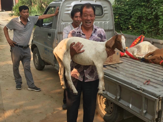 荥阳市工商联会员企业帮扶贫困户(图1)