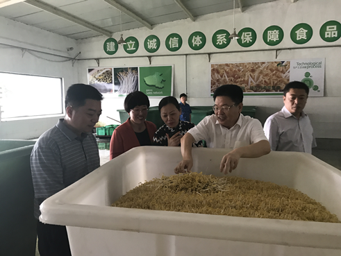 郑州市市工商联领导调研河南绿色中原现代农业集团(图2)