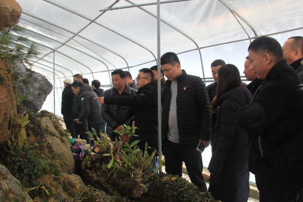 中原区工商联开展“走进卢氏、对口扶贫”活动(图1) 中原区工商联开展“走进卢氏、对口扶贫”活动(图1)