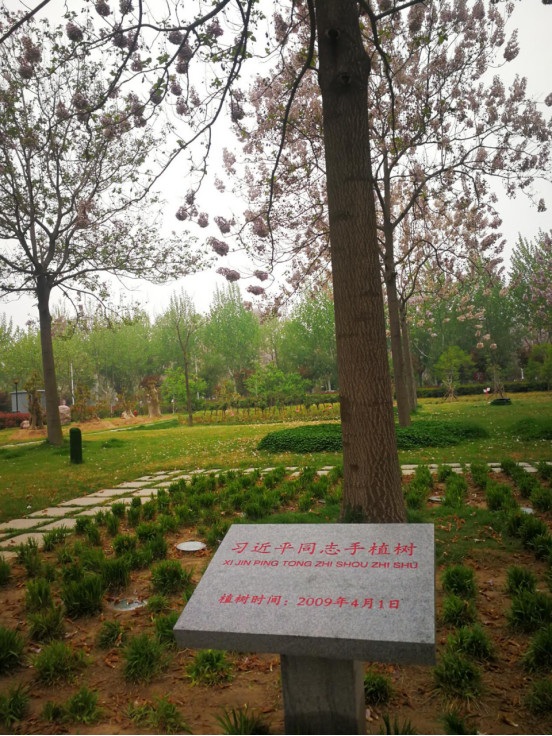 郑州内乡商会党支部（第四支部）走进焦裕禄纪念馆(图5)