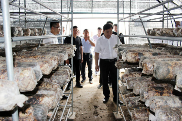 二七区工商联组织部分执委企业赴卢氏县汤河乡、五里川镇开展帮扶调研工作(图2) 二七区工商联组织部分执委企业赴卢氏县汤河乡、五里川镇开展帮扶调研工作(图2)