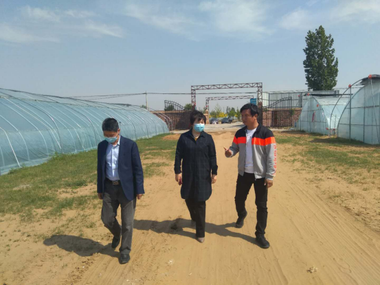 调研产业扶贫  助力脱贫攻坚(图2)