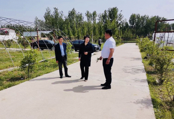 中牟县工商联调研河南印象老家农业科技有限公司精准扶贫情况(图3) 中牟县工商联调研河南印象老家农业科技有限公司精准扶贫情况(图3)